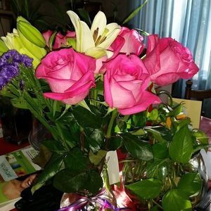 Meet your Posher, Diane